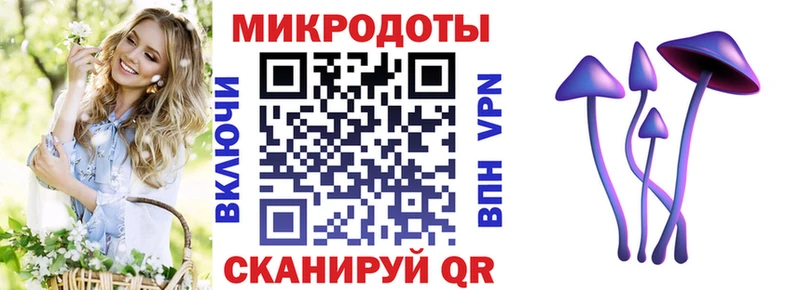 hydra зеркало  Павлово  Псилоцибиновые грибы Psilocybe  купить наркотики цена 