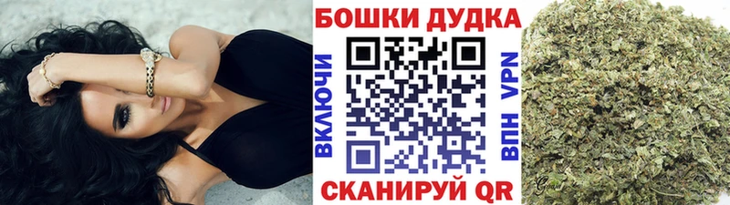 Канабис MAZAR Павлово